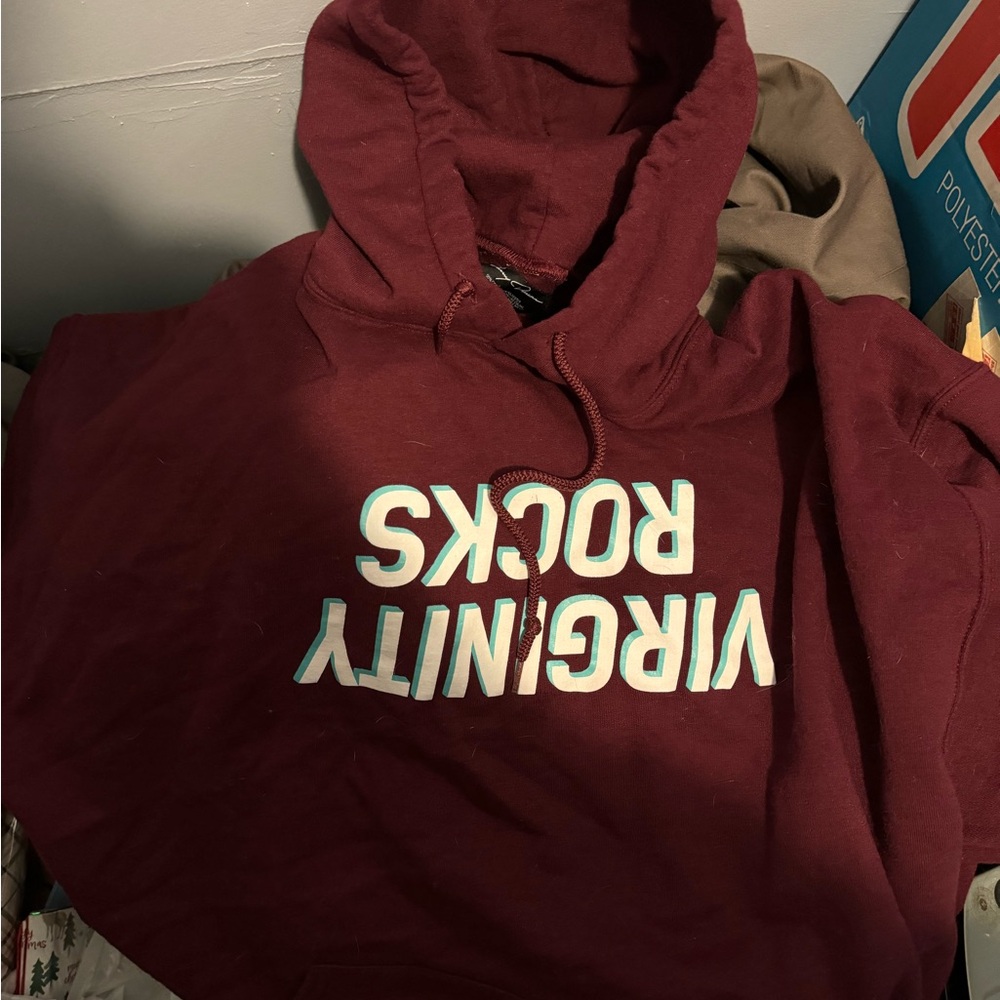Danny duncan Virginity rocks hoodie - UPSIDE DOWN LOGO